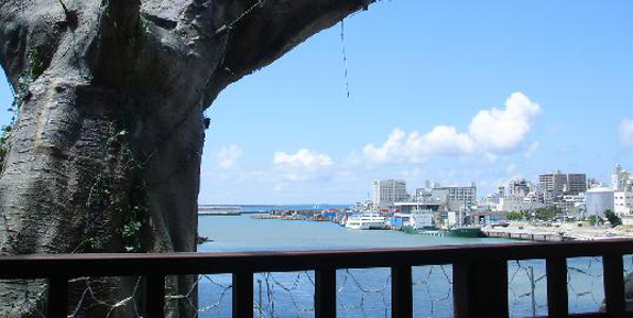 naha2 The Restaurant Thats In A Tree, Of Sorts