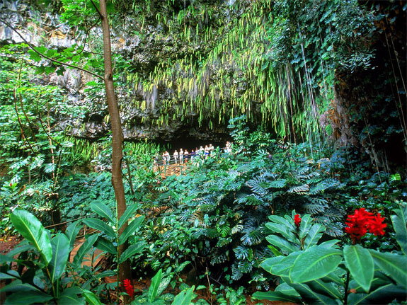 wailua fern grotto 3 The Wailua River Cruise & The Fern Grotto