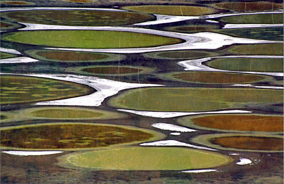 spotted lake 1 Spotting the Spotted Lake