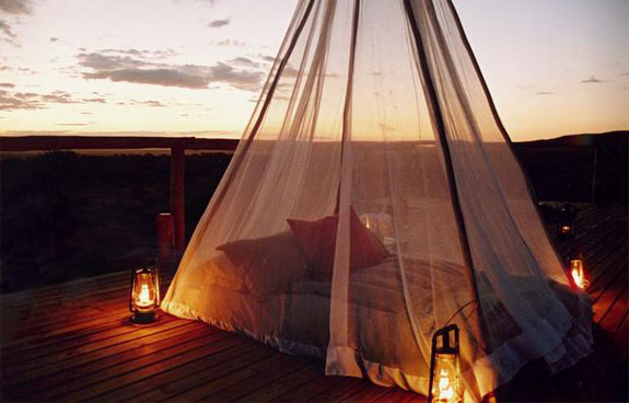 makanyane 9 7 Amazing & Luxurious <br>South Africa Safari Lodges