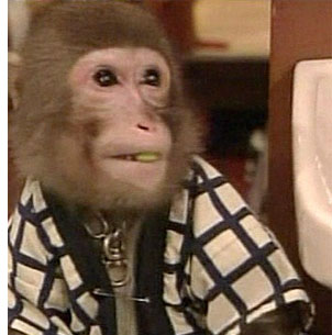 monkey waiter s Monkey See, Monkey Wait Tables