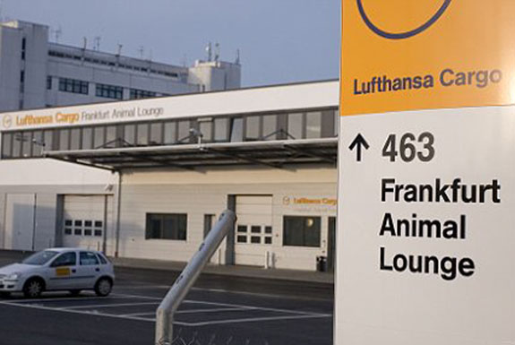 At Frankfurt Airport, Pets Have It Better Than People