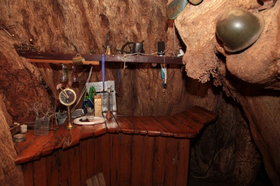 big baobab bar south africa 2 575x383 The Worlds Only Pub Thats Inside a Tree