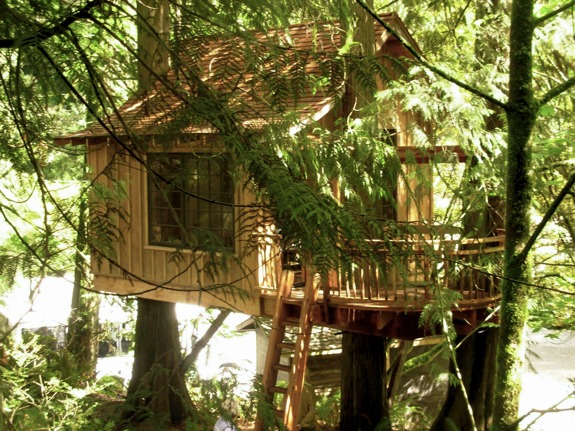 treehouse point hotel 4 The Treehouse is the Point