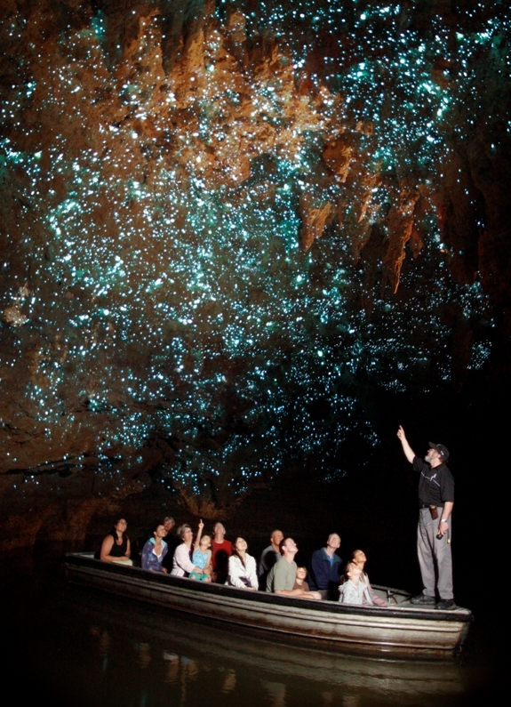 Travel To The Glowworm Cave Waitomo New Zealand Spot Cool Stuff Travel
