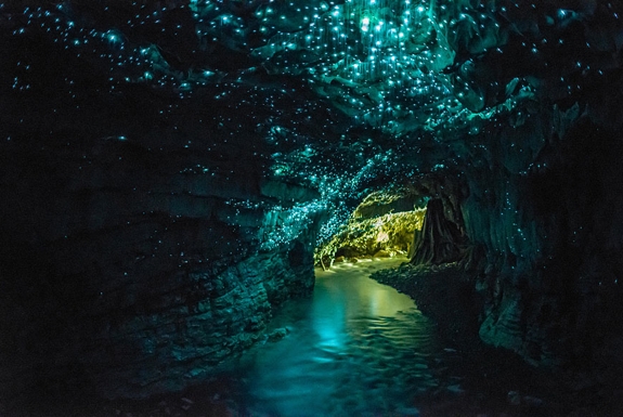 The Glowworm Cave