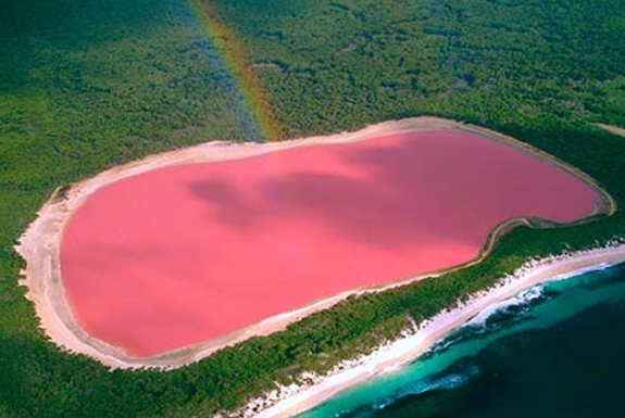Pink Lakes of the World